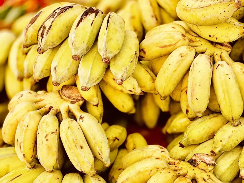 本地香蕉