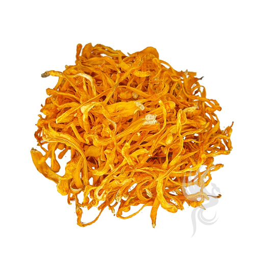 Cordyceps Flower (蟲草花)