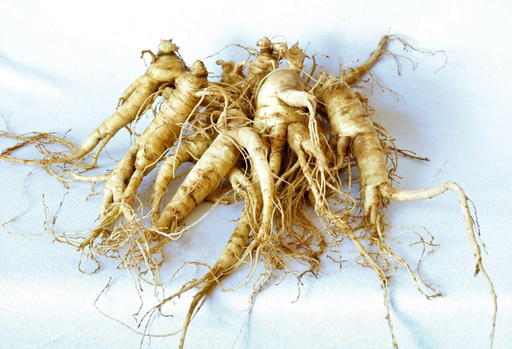 Korean Red Ginseng (高麗紅參)