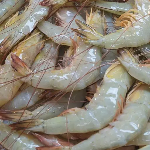 Prawns