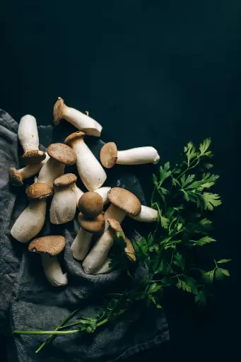 King Oyster Mushrooms 
