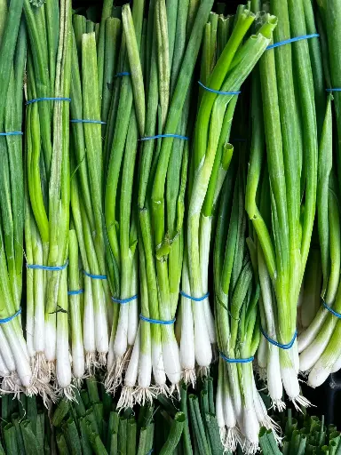 Local Green Onion 