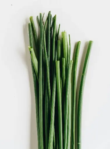 Chinese Garlic Chives