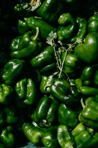 Sweet Green Pepper 