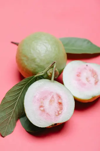 Hong Kong Guava 