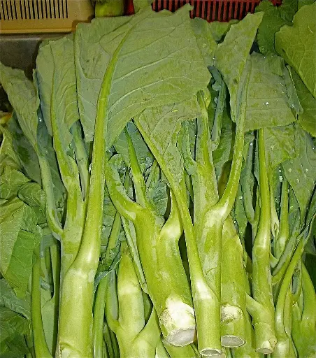 Chinese Kale (Gai Lan) 