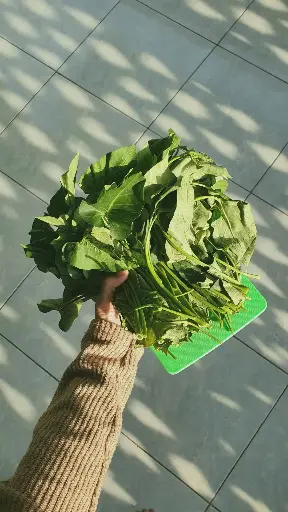 Water Spinach (Ong Choy) 