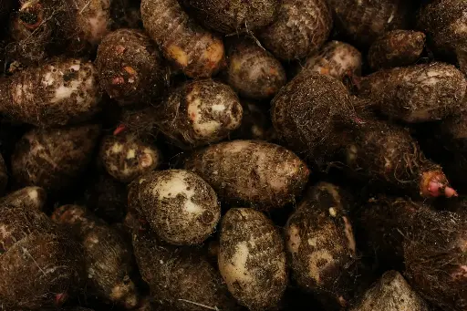  Local Taro Root 