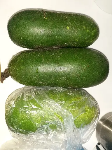 Hairy Gourd