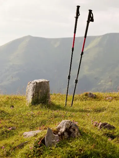 Foldable Hiking Pole 