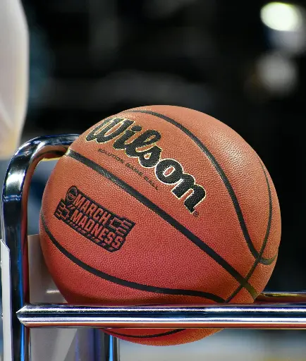 Standard Size Indoor/Outdoor Basketball