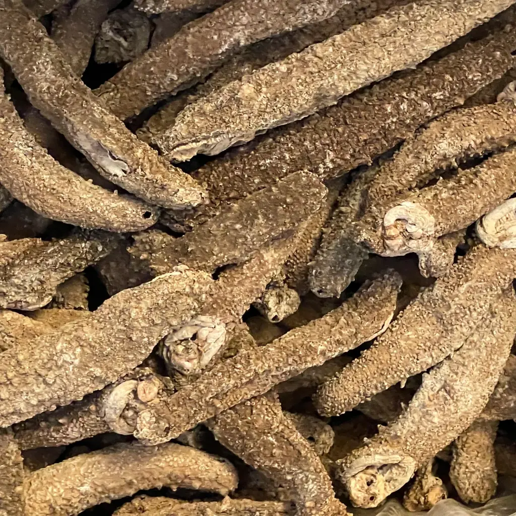 幹海參（中東產地）