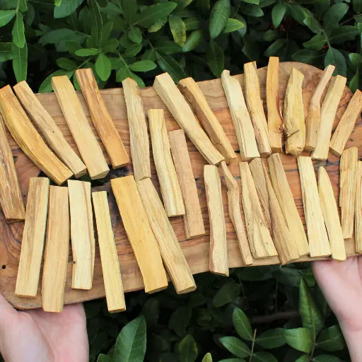 Palo Santo Wood Sticks