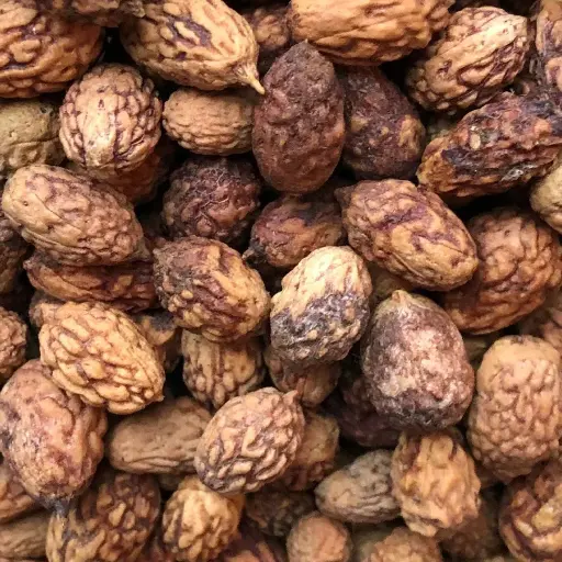 Ziziphus Seed (Suan Zao Ren)