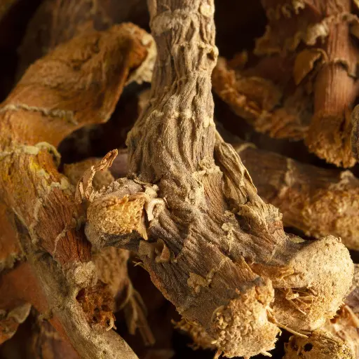 Codonopsis Root