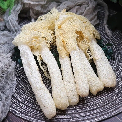 Bamboo Fungus